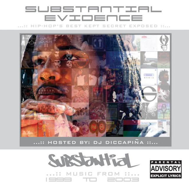 Substantial Evidence (1999-2003) album cover