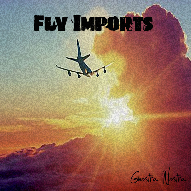 Fly Imports album cover