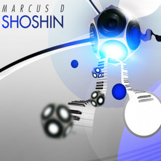 Shoshin album cover