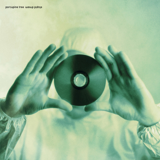 Stupid Dream album cover