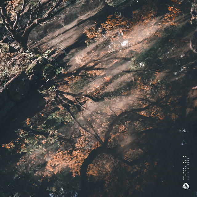 Afterimage album cover