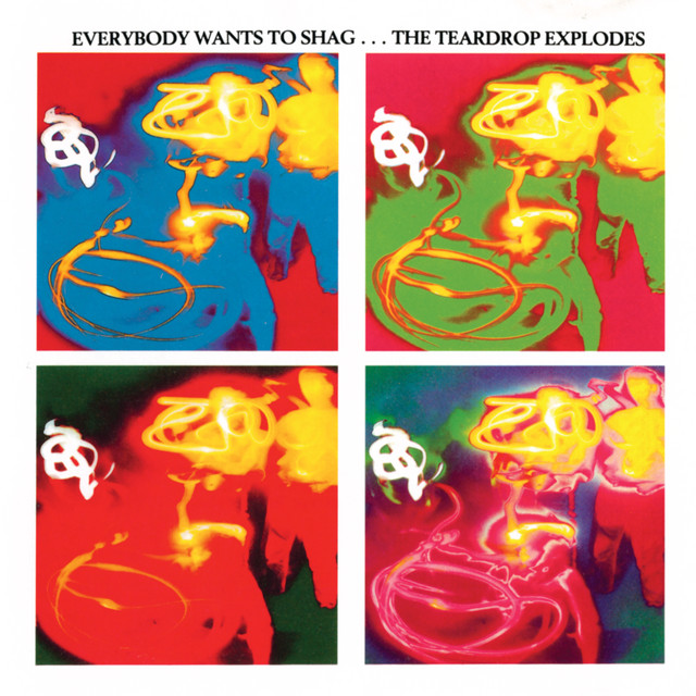 Everybody Wants To Shag album cover