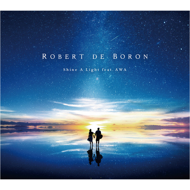 Shine a Light album cover