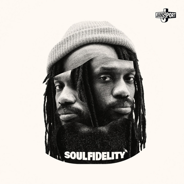 Soulfidelity album cover