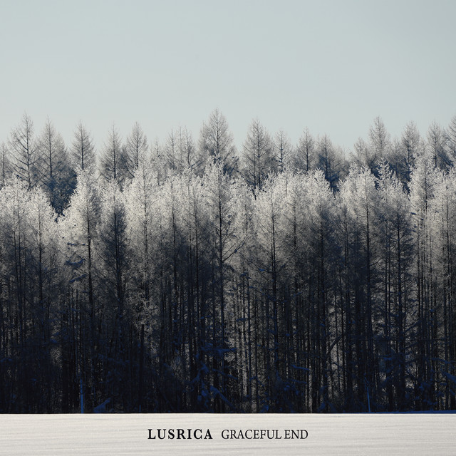 GRACEFUL END album cover