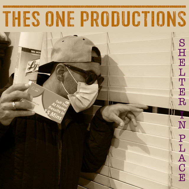 Shelter in Place album cover