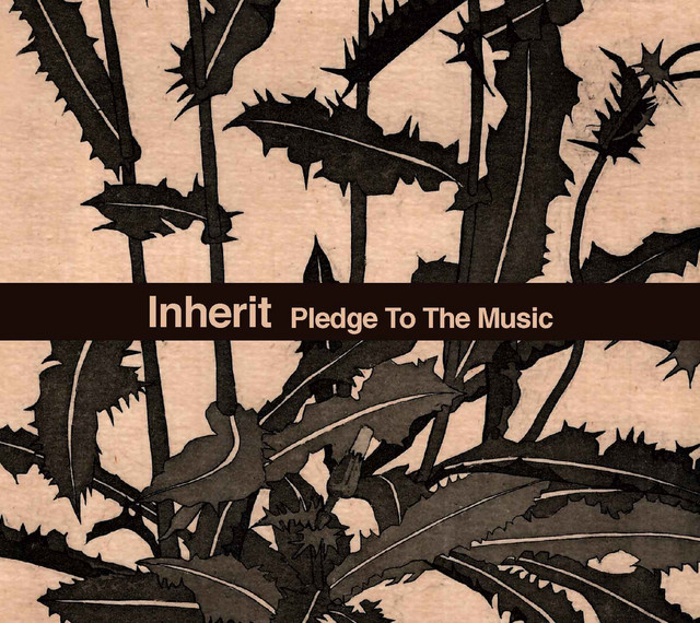Pledge To The Music album cover