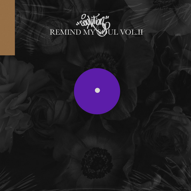 Remind My Soul, Vol. 2 album cover