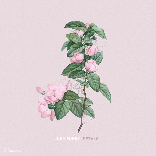 Petals album cover