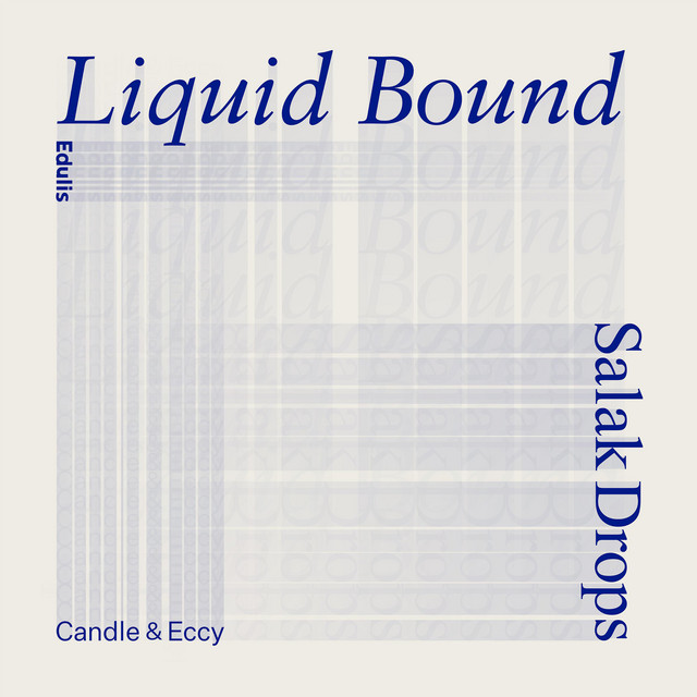 Liquid Bound album cover