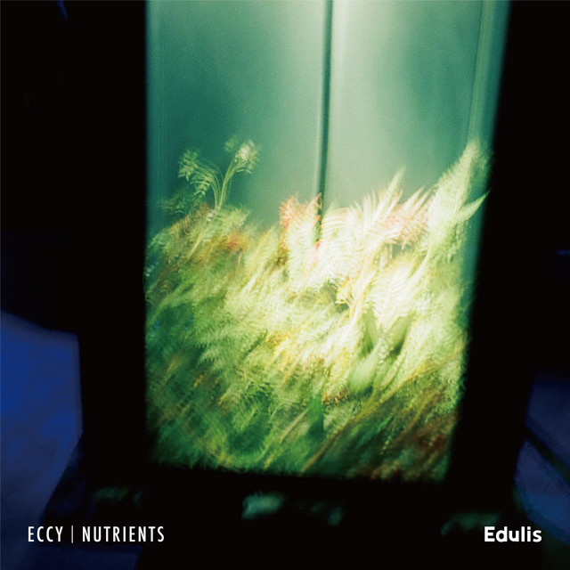 Nutrients album cover