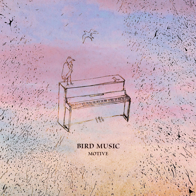 BIRD MUSIC album cover
