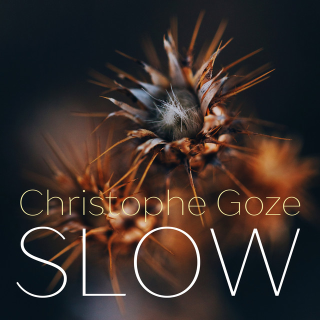 Slow album cover