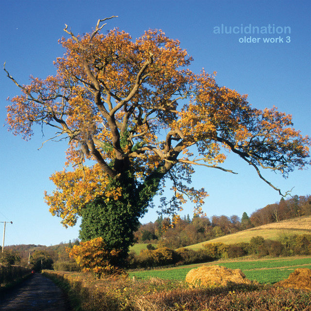 Older Work 3 album cover