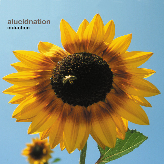 Induction album cover