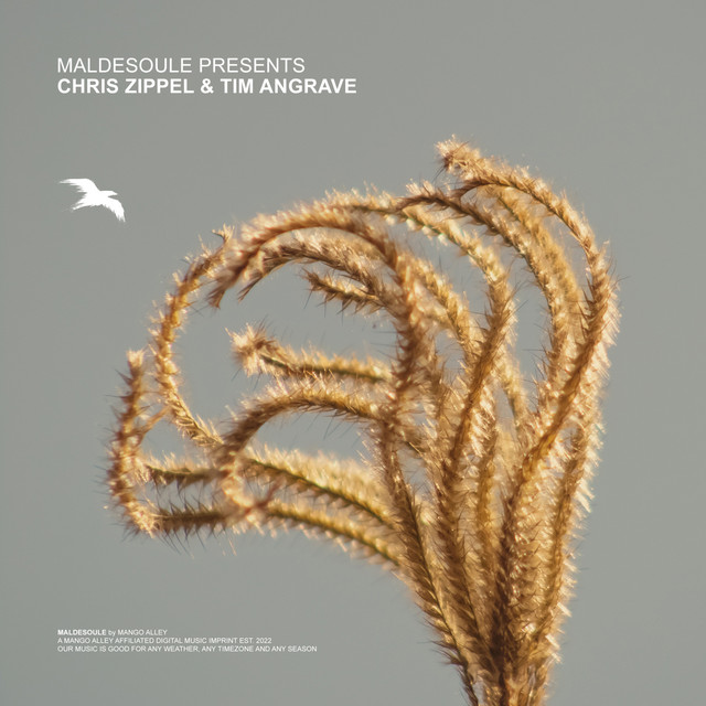 Maldesoule Presents 002: Chris Zippel & Tim Angrave (DJ Mix) album cover