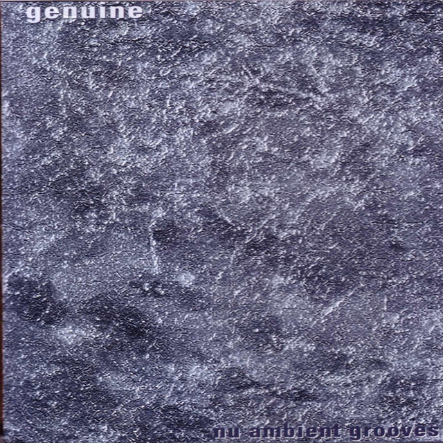 Nu Ambient Grooves album cover