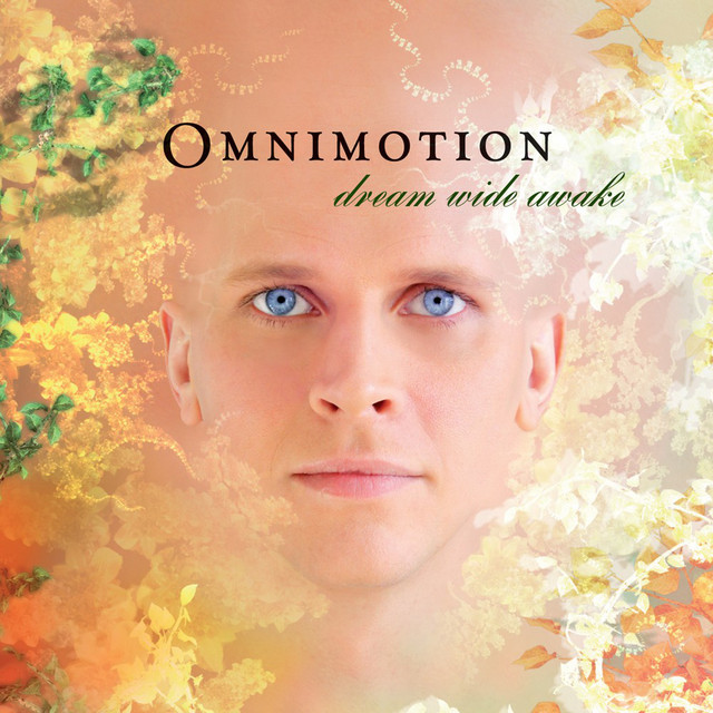 Dream Wide Awake album cover