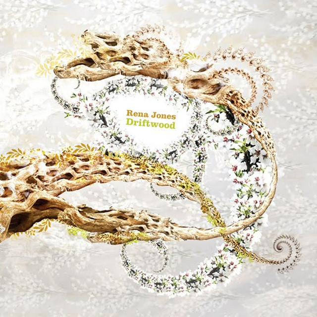Driftwood album cover