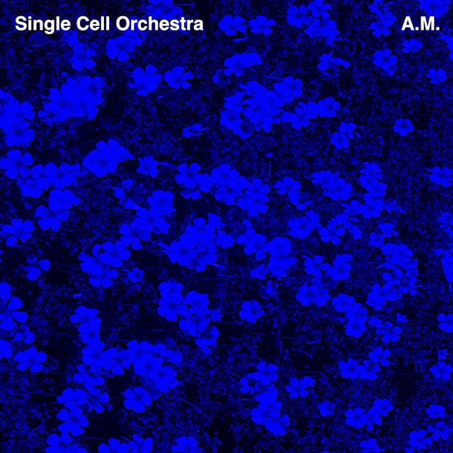 A.M. album cover