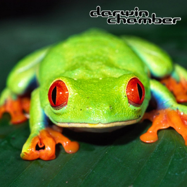 3-D Frog Chorus album cover
