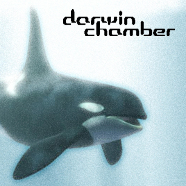 3-D Whale Songs album cover