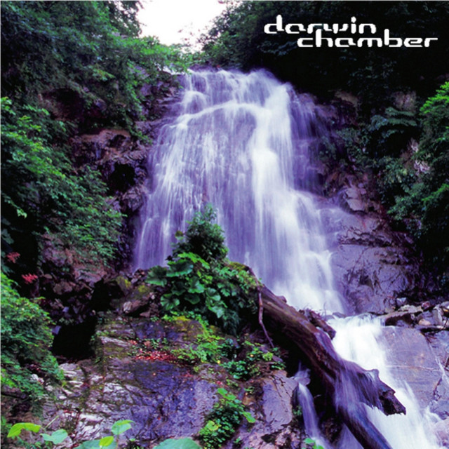 3-D Waterfall album cover