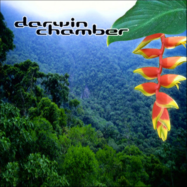 3-D Rainforest album cover