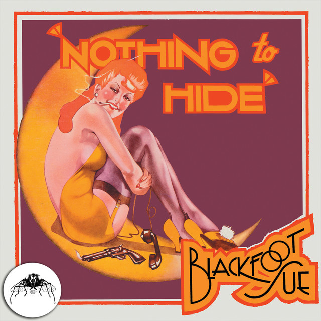 Nothing To Hide album cover