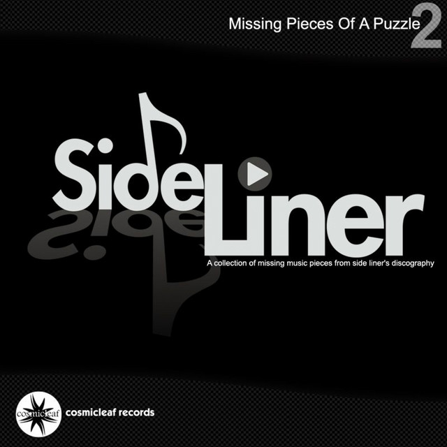 Missing Pieces of a Puzzle 2 album cover