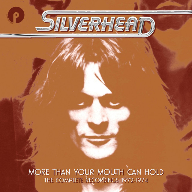 More Than Your Mouth Can Hold: The Complete Recordings 1972-1974 album cover