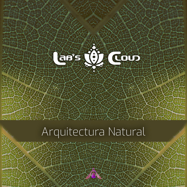 Arquitectura Natural album cover