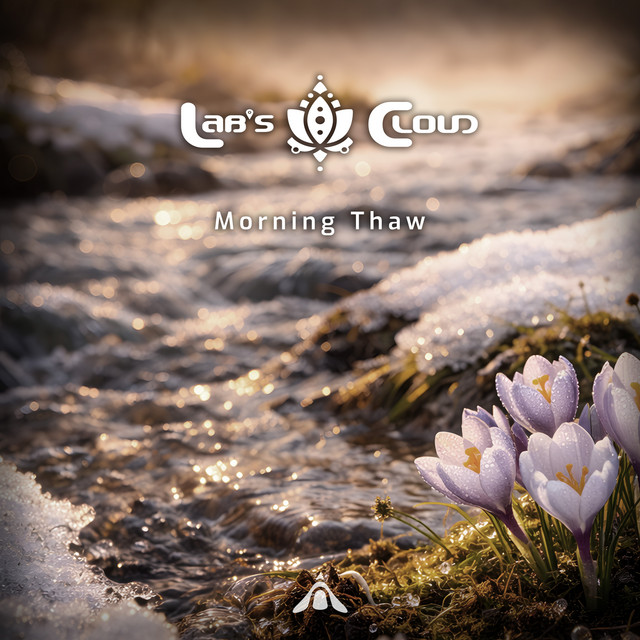 Morning Thaw album cover