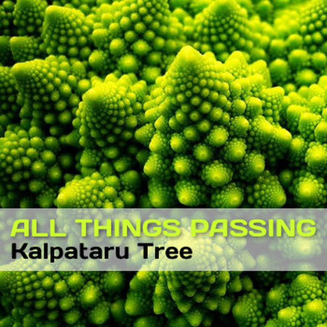 All Things Passing album cover