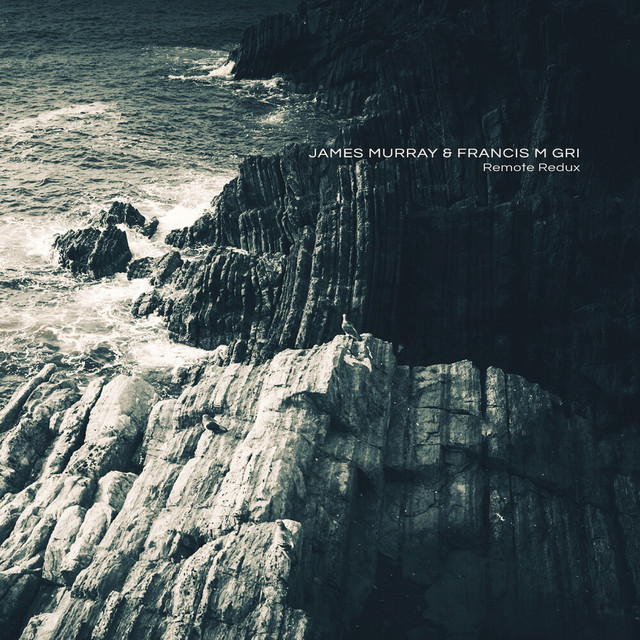 Remote Redux album cover