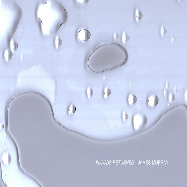 Floods Returned album cover