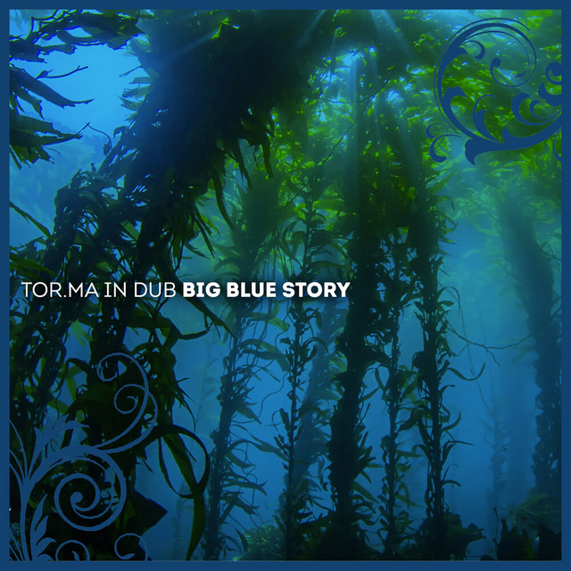 Big Blue Story album cover