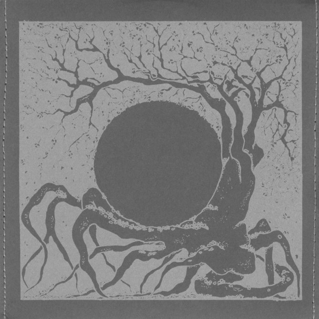 Secret Entries Into Darkness album cover