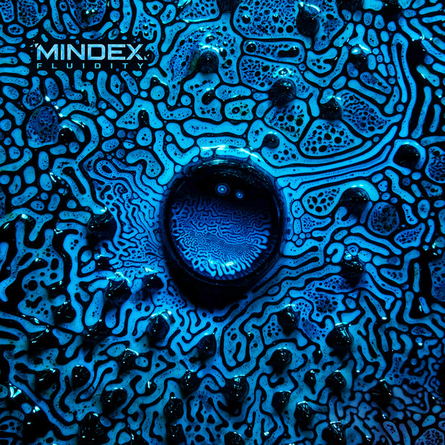 Fluidity album cover
