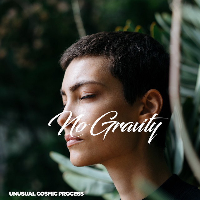 No Gravity