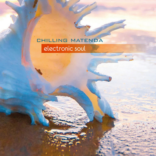 Electronic soul album cover