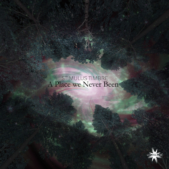 A Place We Never Been album cover