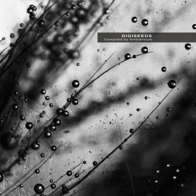Digiseeds album cover