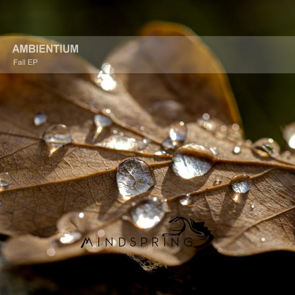 Fall EP (Album Version) album cover