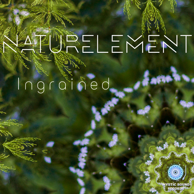 Ingrained album cover