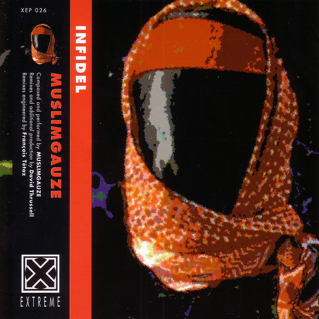 Infidel album cover