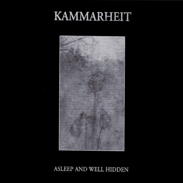 Asleep And Well Hidden album cover
