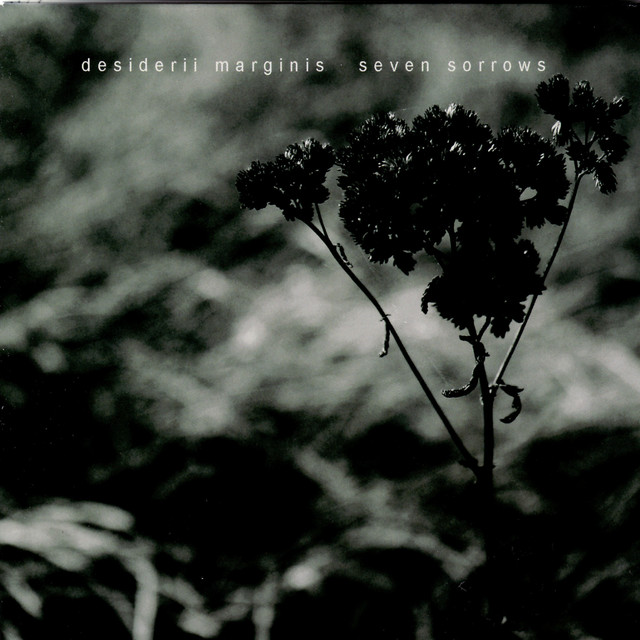 Seven Sorrows album cover