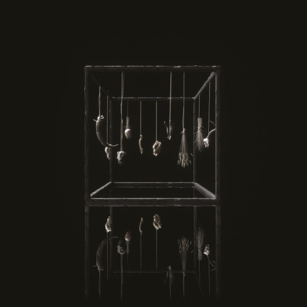 Rejet album cover