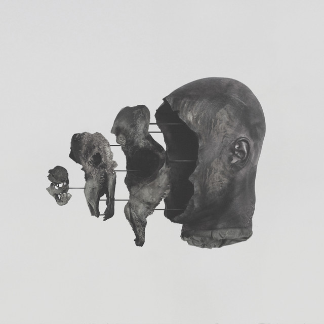 The Sense of Dust and Sheer album cover